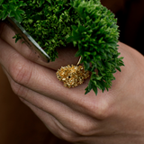 Persille Statement Ring Forgylt