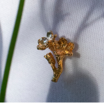 Forglemmigei blomst, pin forgylt