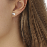 Forglemmigei Små Øredobber Sølv