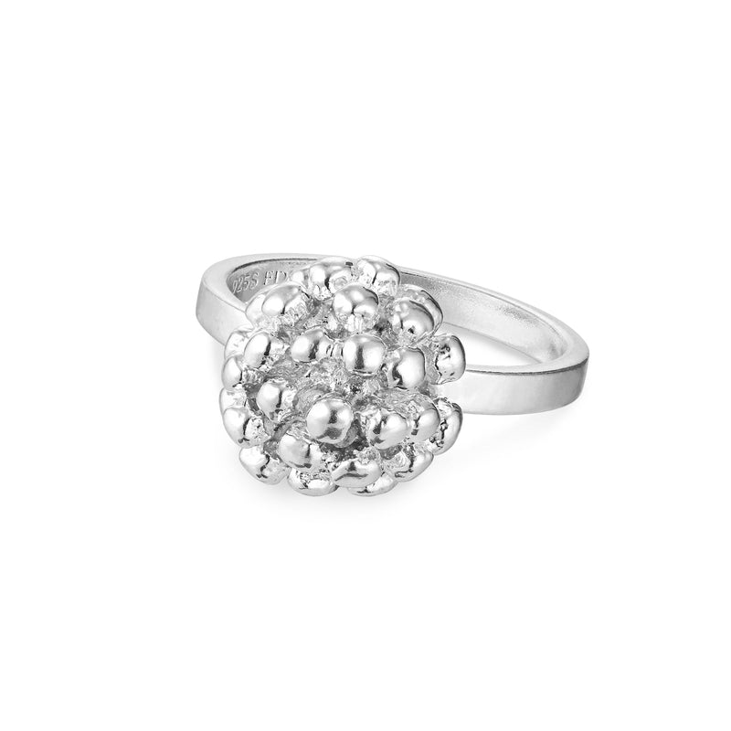 Dill Ring Sølv