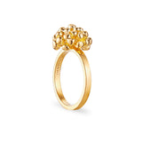 Dill Ring Forgylt