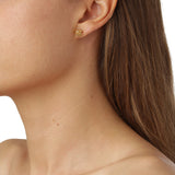 Dill Øredobber forgylt