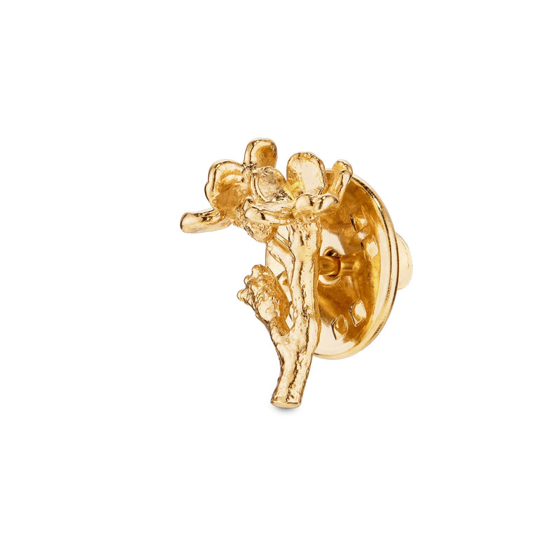 Forglemmigei pin forgylt