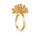Dill Statement-ring Forgylt
