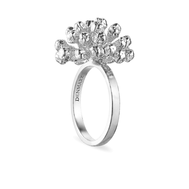 Dill Statement Ring Sølv