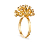 Dill Statement Ring Forgylt