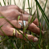 Gress Statement Ring forgylt